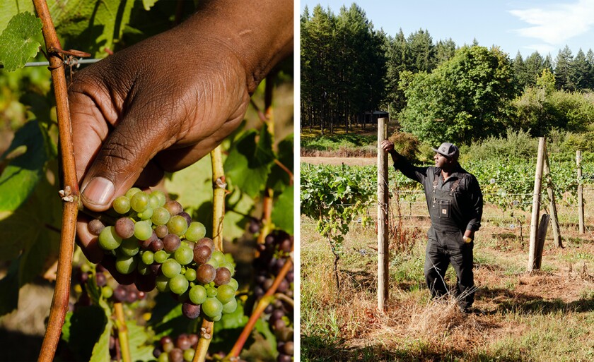 Hand holding grapes and owner of Abbey Creek Vineyard in a field