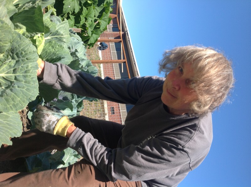 Lys_school gardenAug13