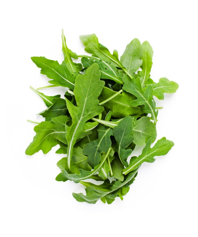 iStock_000020834548Small