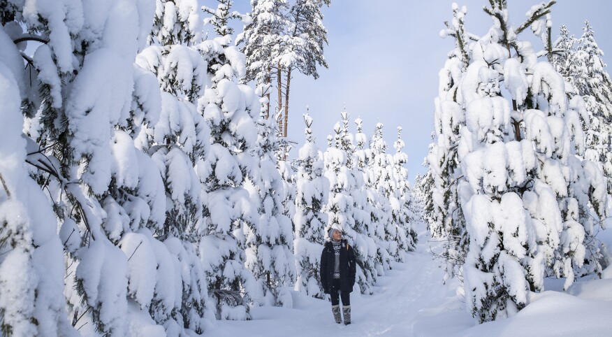 Snowy Forest Trip in Finland