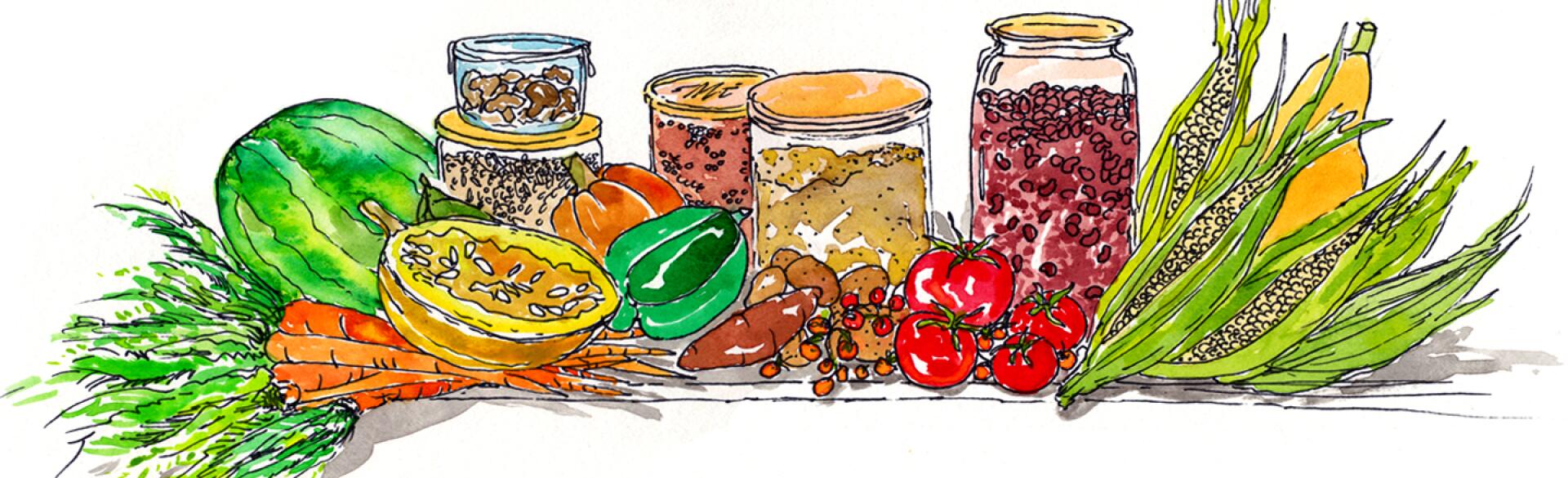 illustration of lectin free foods