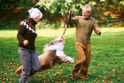 a couple playing with dog