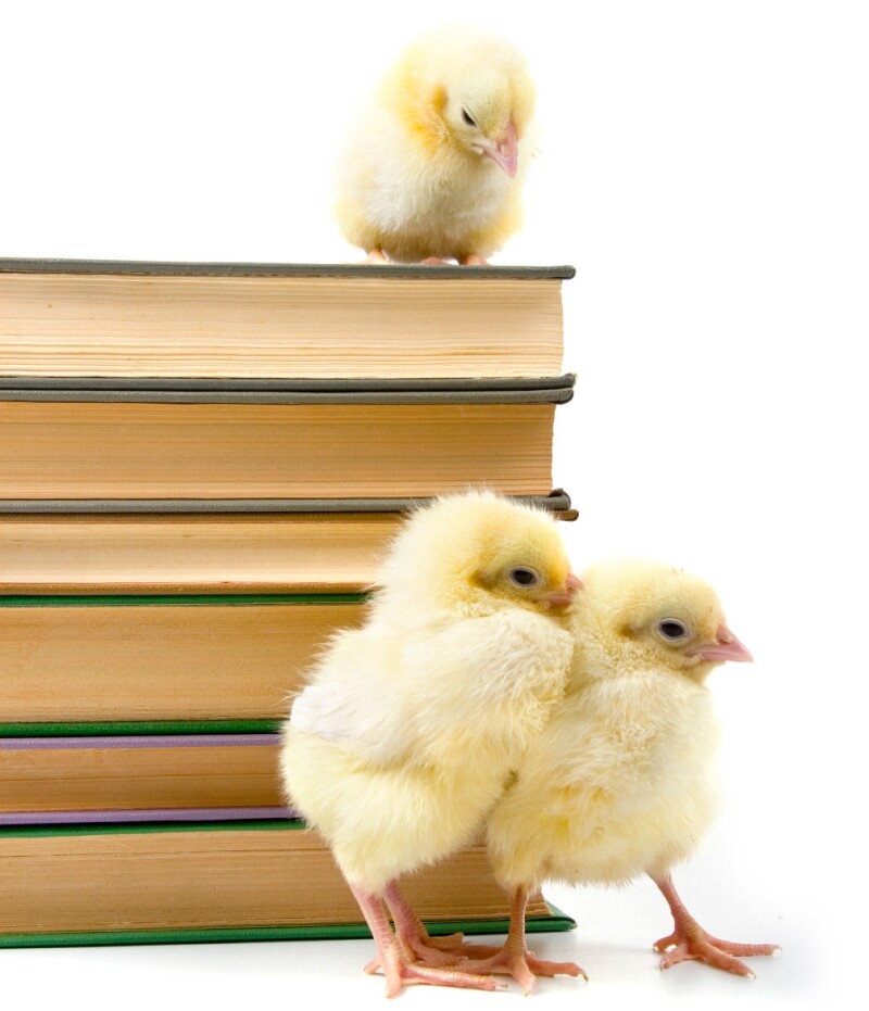 chicks-books