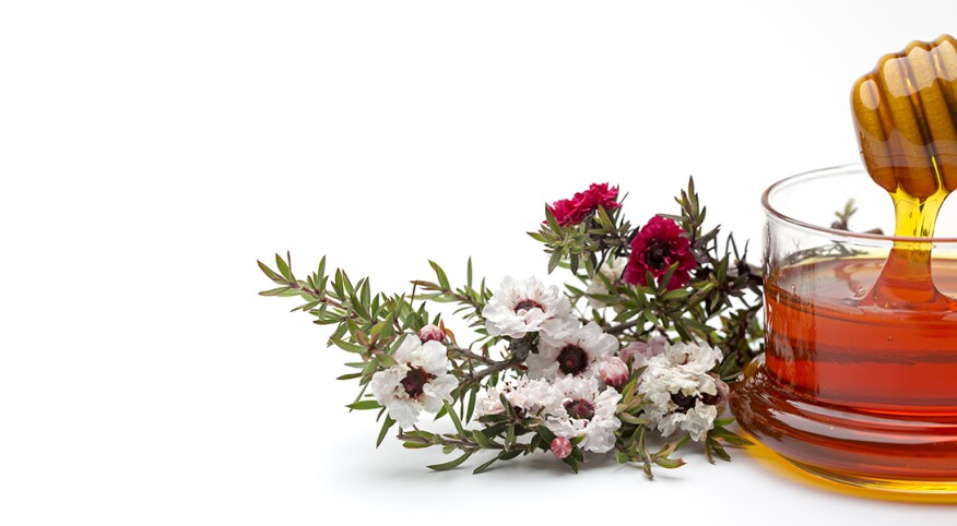 jar of manuka honey next to flowers