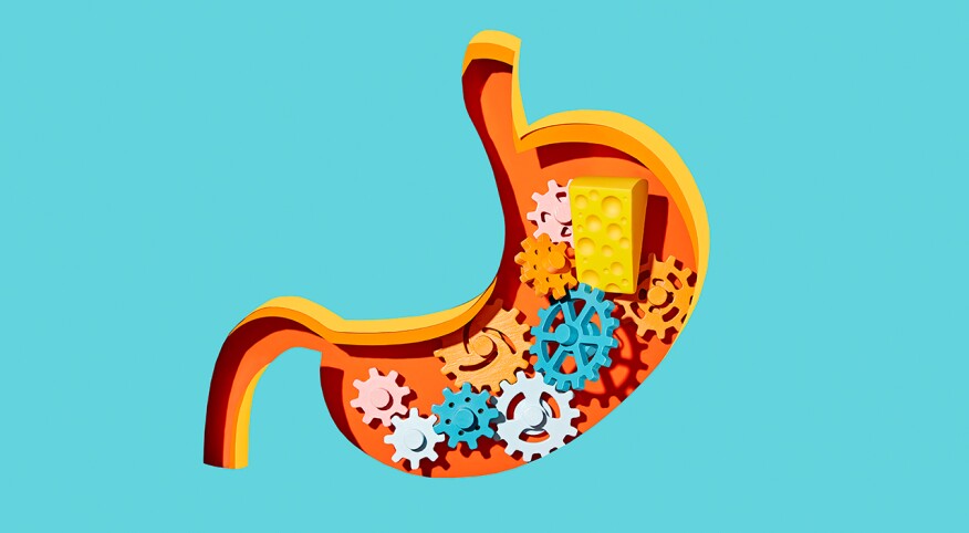 Shape of a stomach in bright blue with internal gears
