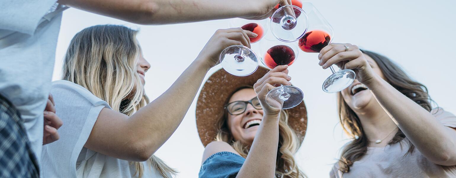 A group of friends making a toast together.