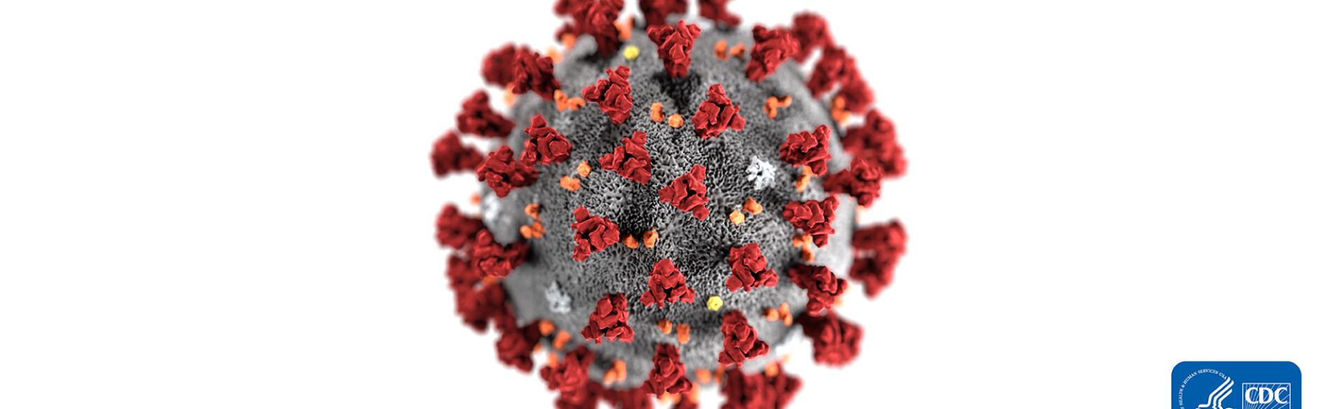 Coronavirus Illustration