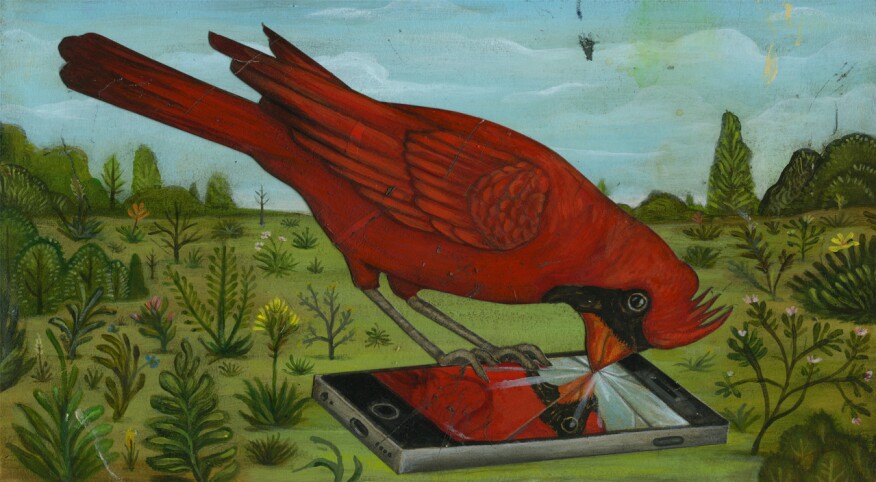 Illustration of a cardinal breaking a cell phone screen with its beak