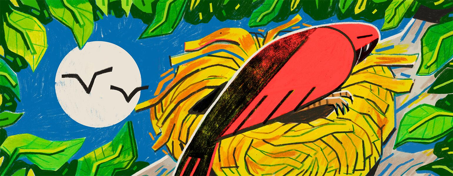 illustration of momma bird in nest as younger birds fly away by kelsey wroten