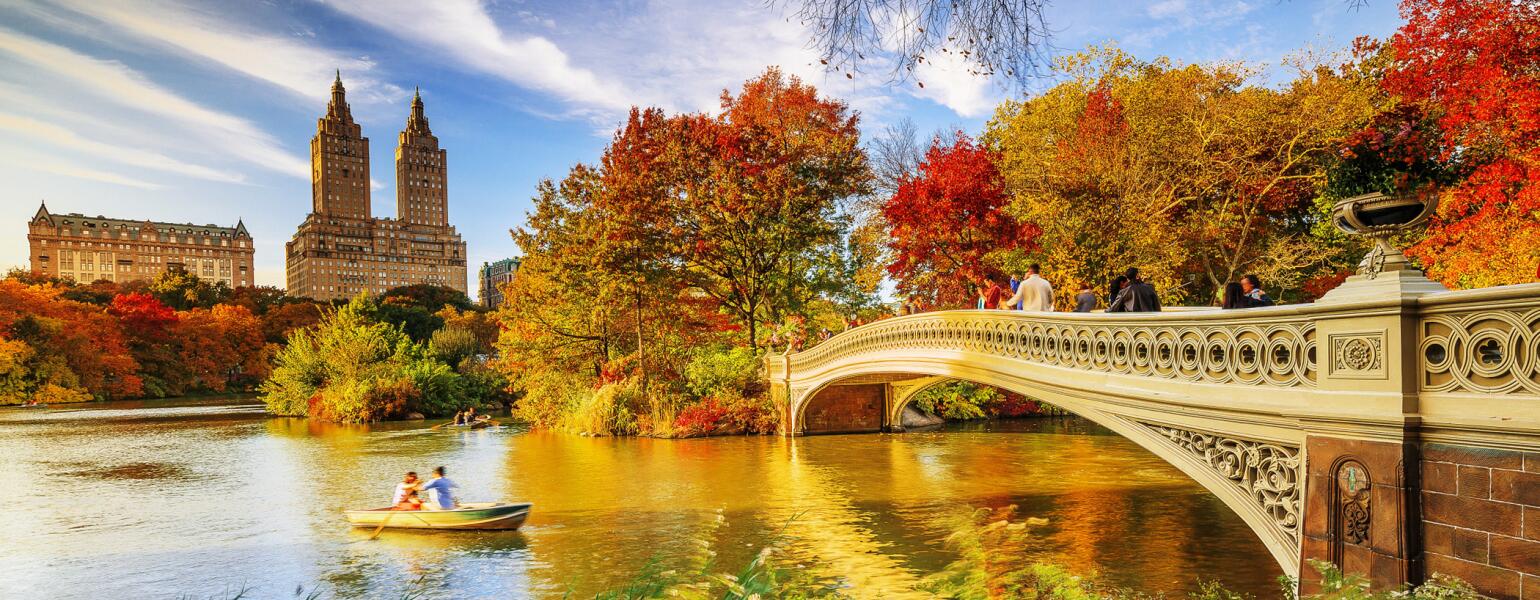 couple in row boat in the fall going under a bridge