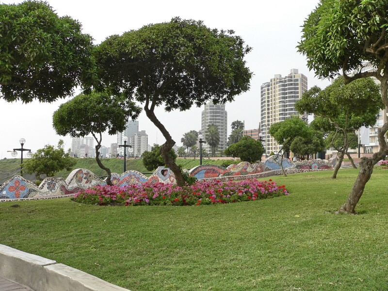 iStock_lima