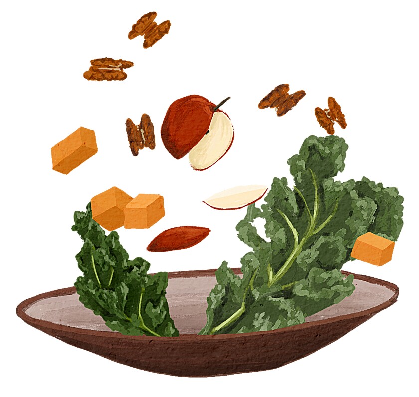 illustration of fall salad with kale, sweet potato, apple and pecans