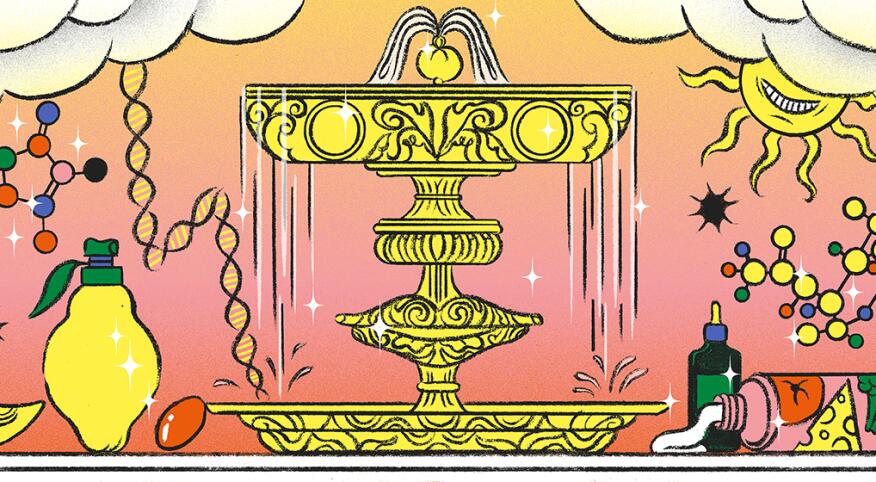 illustration_of_fountain_of_youth_with_face_creams_AntiAgingMyths_by_Cynthia_Kittler_1440X560.jpg