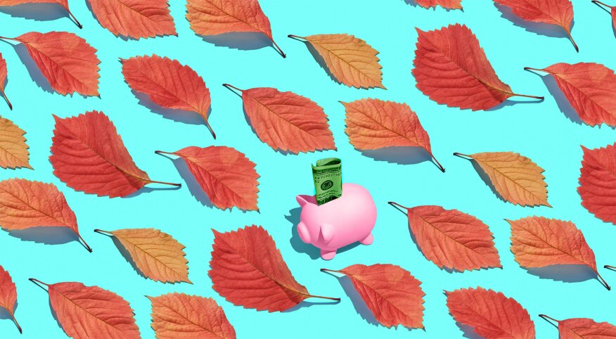 Composite of a piggy bank with money amongst a group of leaves on a teal background