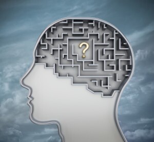 brain maze