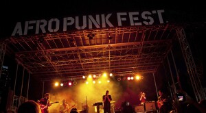The Afro-Punk Festival at Commodore Barry Park in New York.