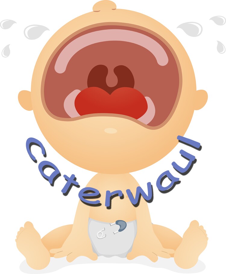 Baby Crying Caterwaul