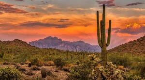 Sunset,In,The,Sonoran,Desert,Near,Phoenix,,Arizona
