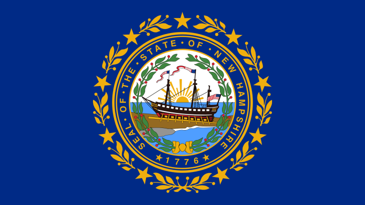 New Hampshire State Flag