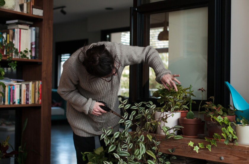 Woman's Pastime Plant Care