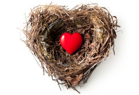 Small red heart in a bird's nest