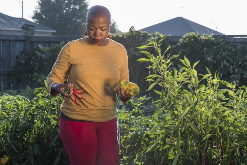 aarp, sisters, bountiful harvest