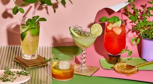 Four herbal cocktails on a pink and green background with greenery