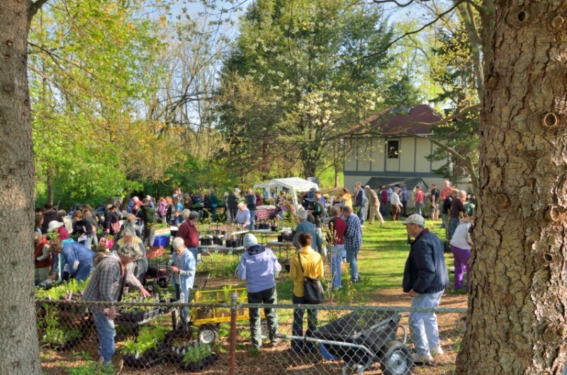 Audrey Carroll Native Plant Sale