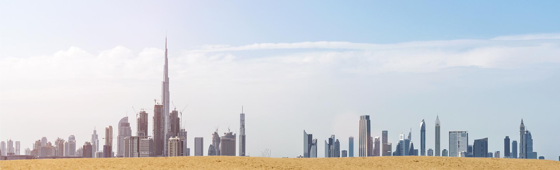 Camels walking along the dessert with the Dubai cityscape in the background