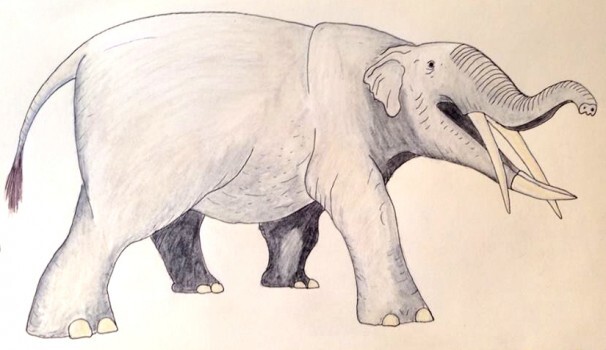 Gomphotherium - Elephant-like creature