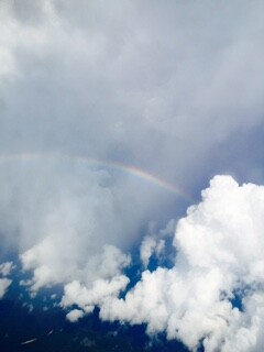 MS rainbow