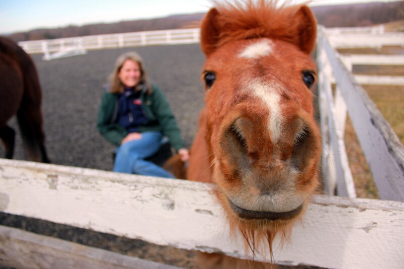 Gizmo the pony upstaging owner Fran