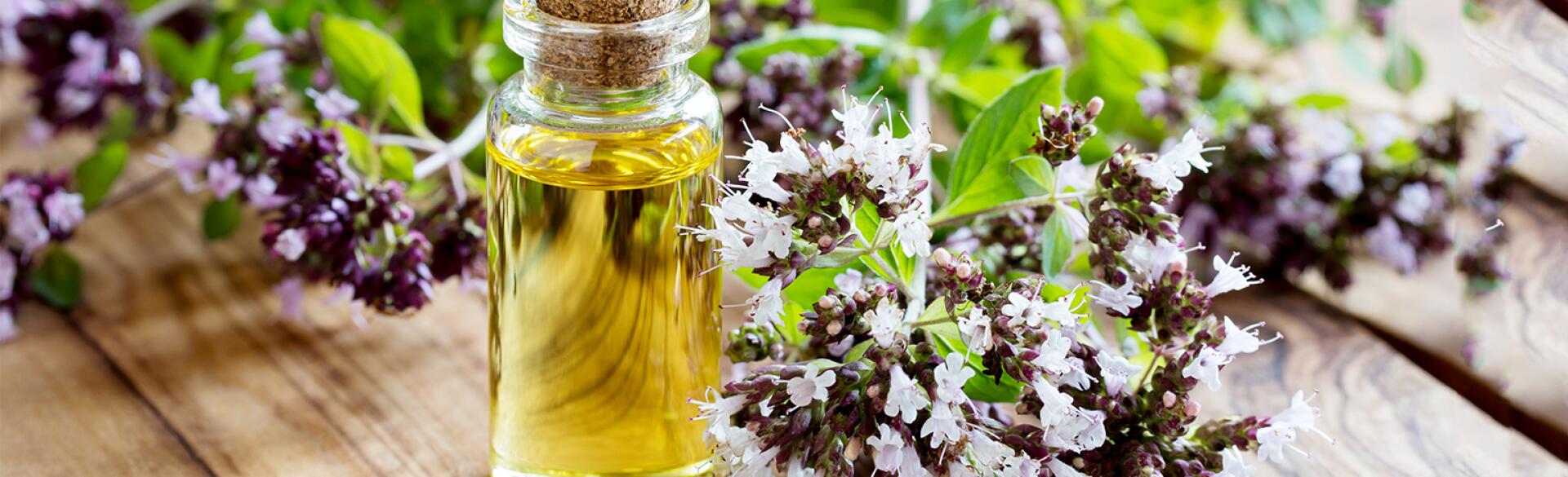 A bottle of oregano essential oil with blooming oregano twigs on a wooden background