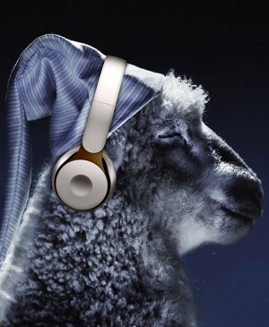 Sheep wearing nightcap and headphones
