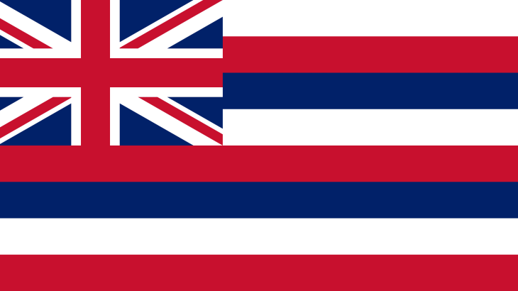 Hawaii State Flag