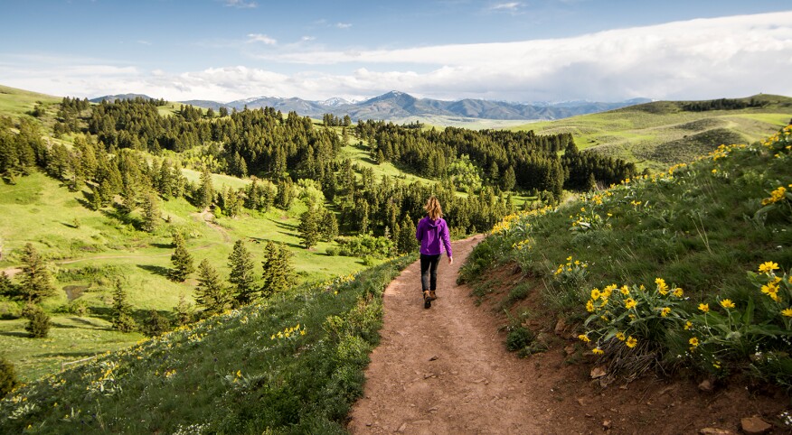 A woman enjoying a day hike on a summer day in Montana