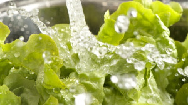 Close up of lettuce leaves being washed in the sink with splashing water