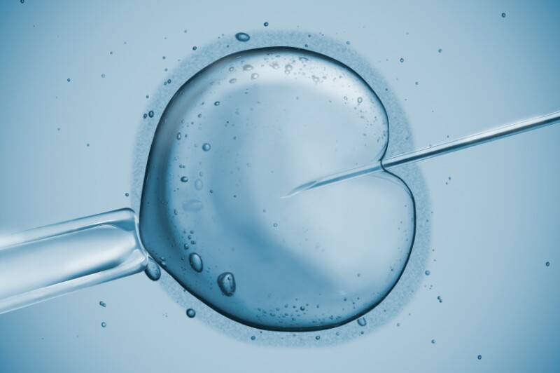 Fecundacion in vitro (FIV), In vitro fertilization (IVF)
