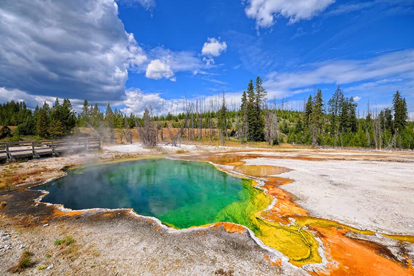 Colorful Geyser in Yellowstone National Park