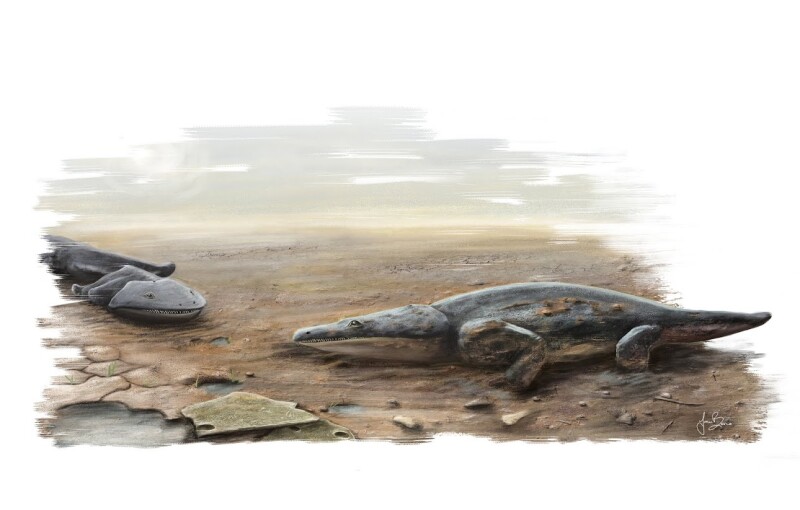 MetoposaurusArt(credit_Joana Bruno)
