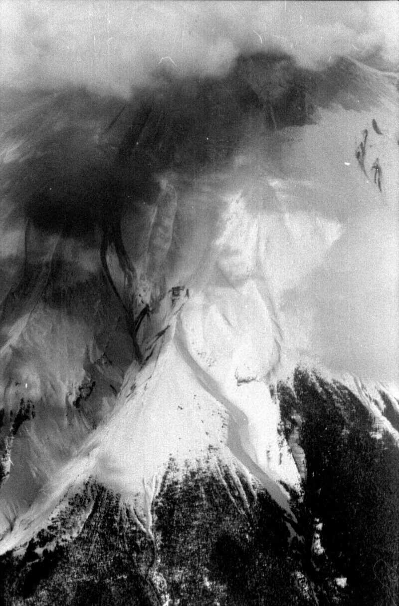 772191 Reid's lost roll 6a.jpg