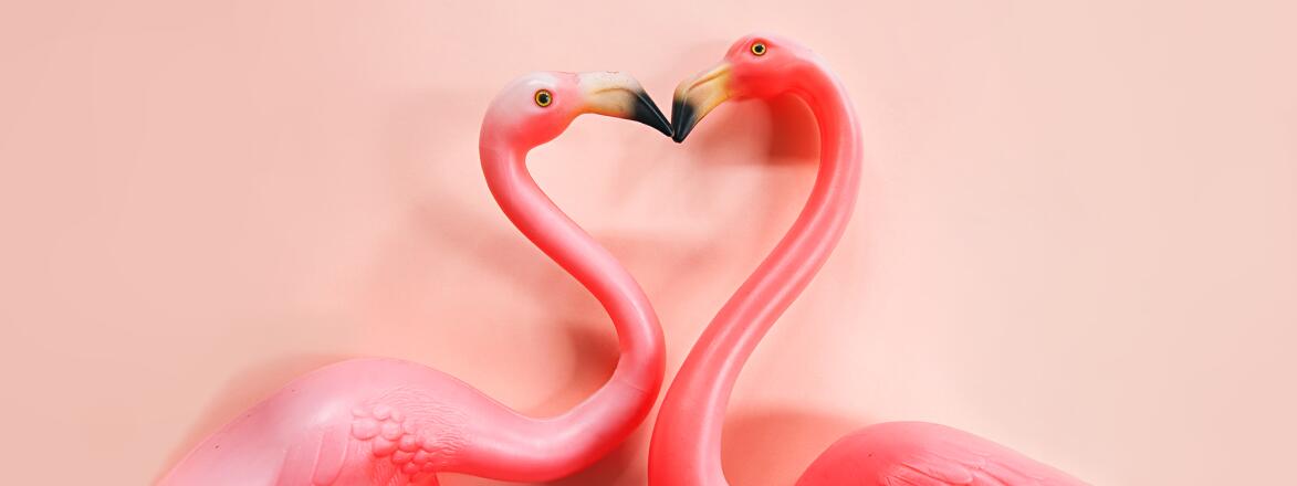 Two plastic flamingos making a heart