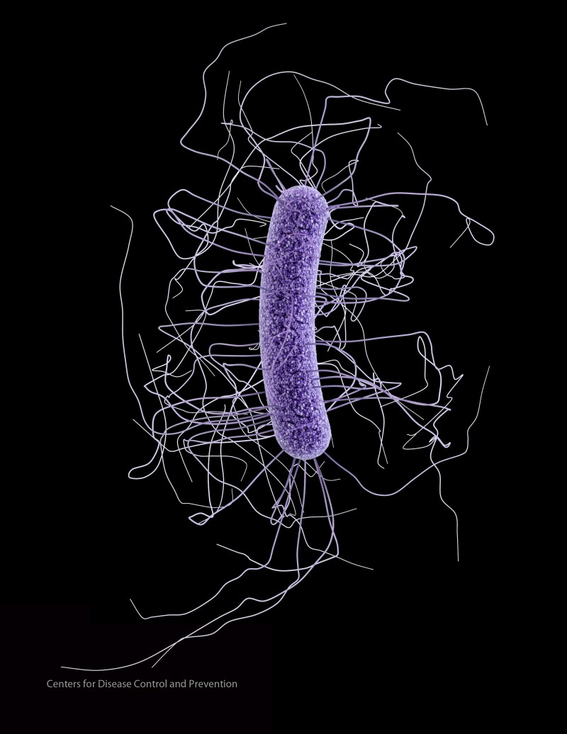 CDCbug