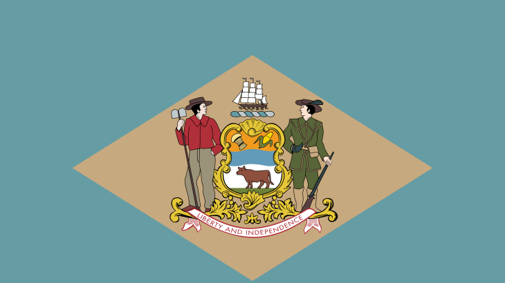 Delaware State Flag
