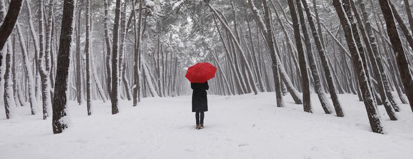 image_of_woman_walking_outside_in_snow_with_umbrella_GettyImages-638697420_1800