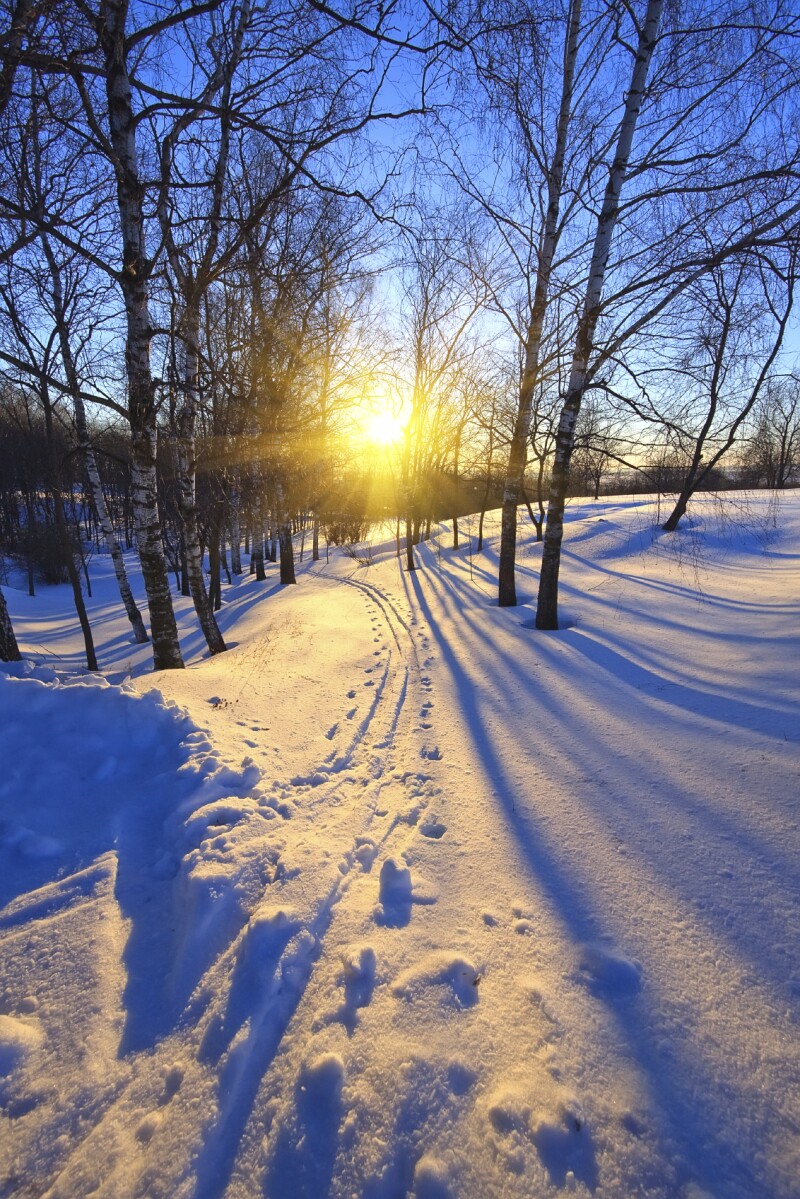 Sunset in a winter park