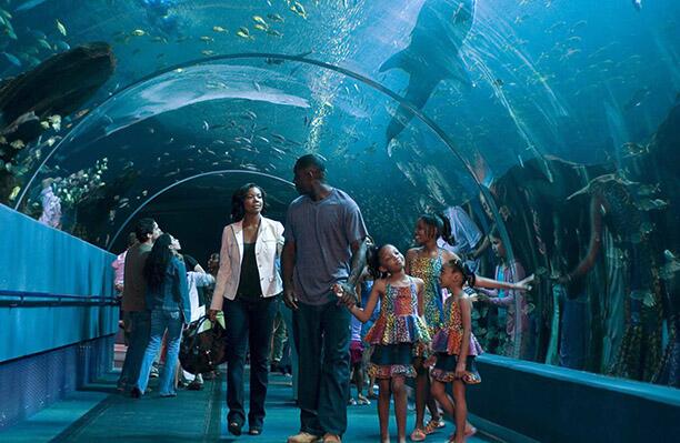 Daddy's Little Girls Daddy's Little Girls Year: 2007 USA Gabrielle Union, Idris Elba, Sierra Aylina McClain, China Anne McClain, Lauryn Alisa McClain, Director: Tyler Perry. Image shot 2007. Exact date unknown.
