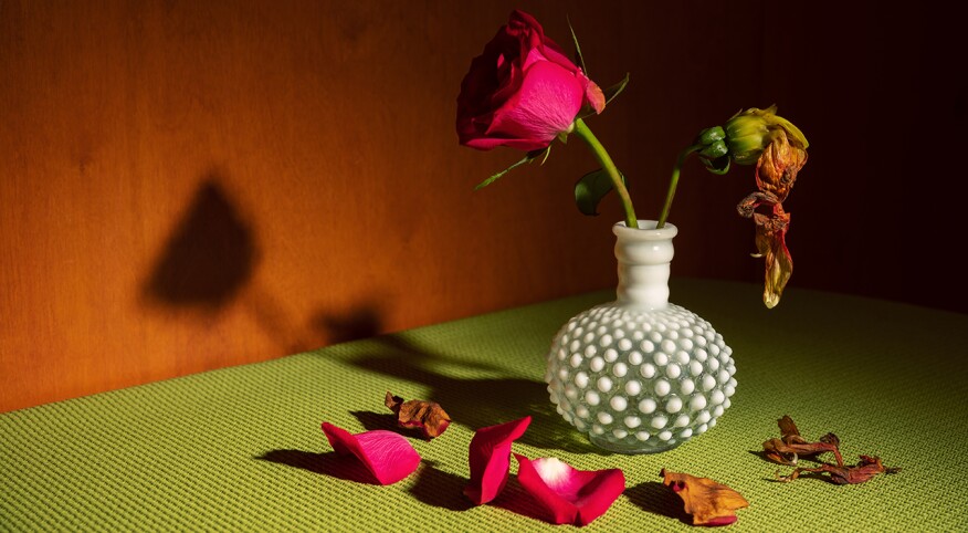 Rose in vase next to another rose with fallen petals