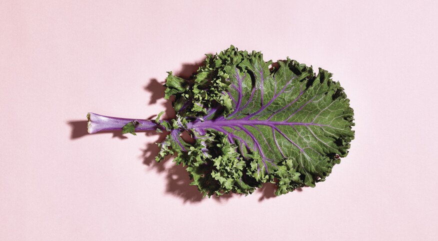 Piece of Kale for illustrating Superfoods for Skin