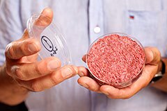 240-test-tube-meat